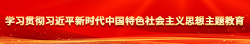 大鸡吧插骚逼学习贯彻习近平新时代中国特色社会主义思想主题教育